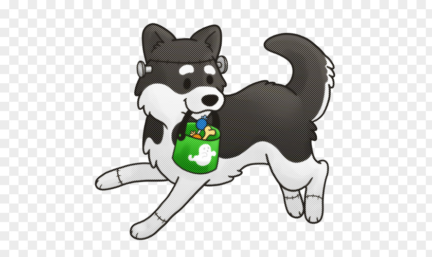 Border Collie PNG