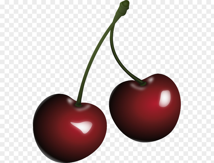 Cherry Black Clip Art PNG
