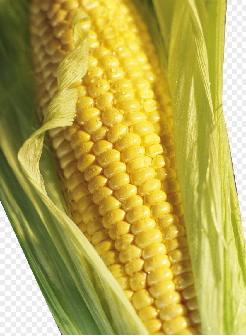 Corn On The Cob Brazil Grits Maize Groat PNG