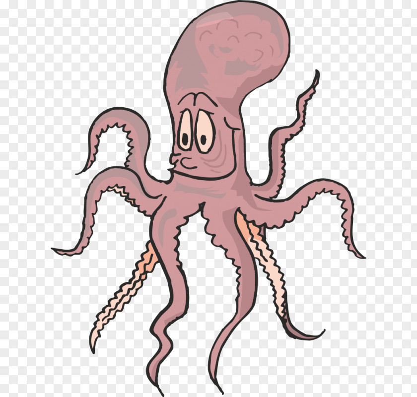Drawing Coloring Book Octopus Clip Art PNG