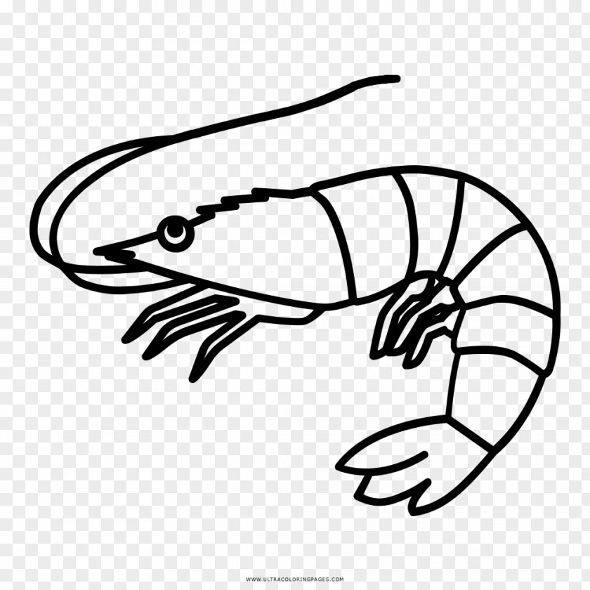Fish Drawing Shrimp Caridea Clip Art PNG