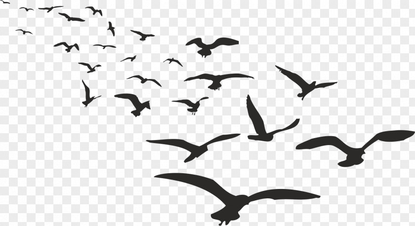 Flock Of Birds Batman Bird Joker Animal PNG