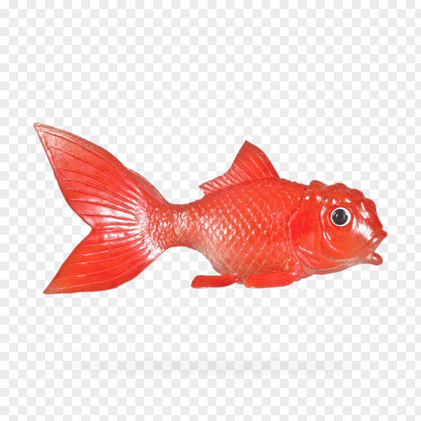 Fribourg Northern Red Snapper Goldfish RED.M PNG