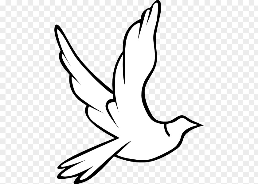 Holy Cliparts Columbidae Doves As Symbols Spirit Clip Art PNG