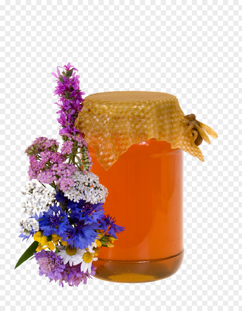 Honey Bee Syrup Flower Photograph PNG