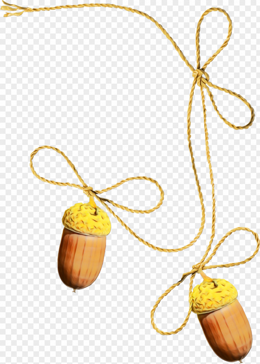 Nut Plant Fashion Accessory PNG