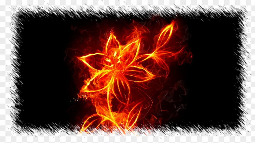 Burn Desktop Wallpaper Fire Flame High-definition Television Flower PNG
