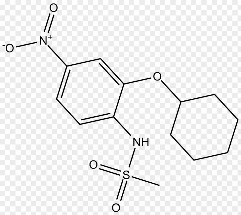 Cyclooxygenase NS-398 COX-2 Inhibitor Prostaglandin-endoperoxide Synthase 2 PTGS1 PNG