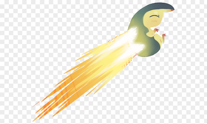 Cyndaquil Pokémon Gold And Silver HeartGold SoulSilver Typhlosion PNG