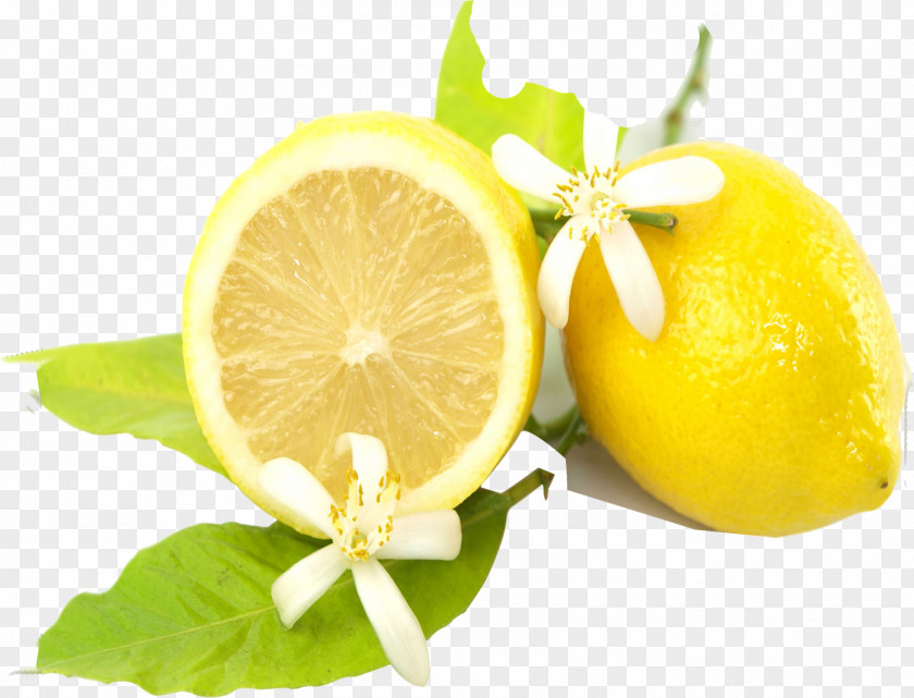 Fresh Lemon Tea Lemon-lime Drink Gong Cha PNG