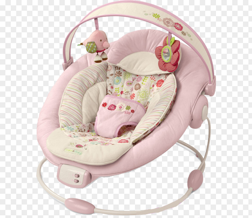 Comfort & Harmony Cradling Bouncer Baby Jumper Portable Swing Bright Starts PNG