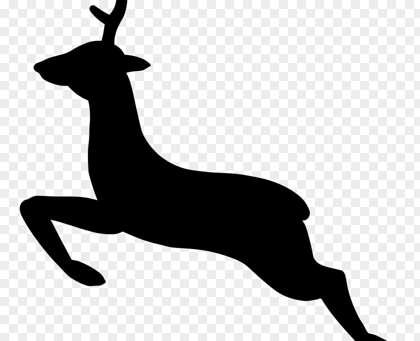 Deer Desktop Wallpaper Clip Art PNG