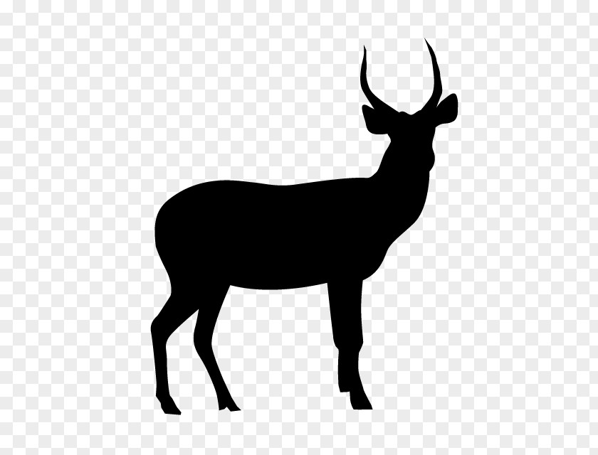 Deer Elk Silhouette PNG