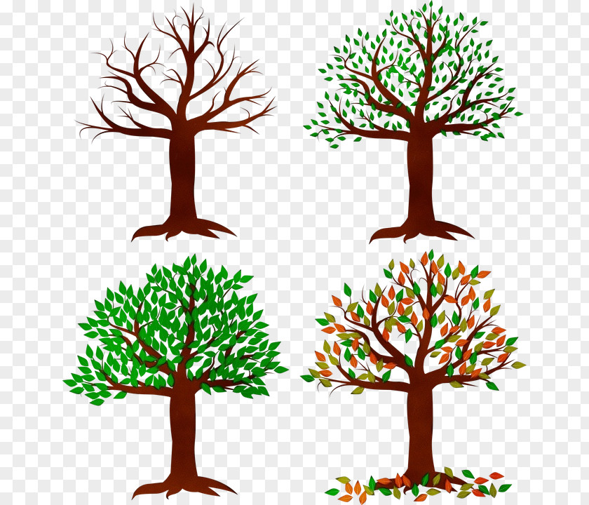 Houseplant Twig Tree Trunk Drawing PNG