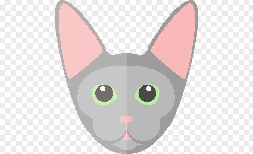 Kitten Whiskers Sphynx Cat Japanese Bobtail Chartreux PNG