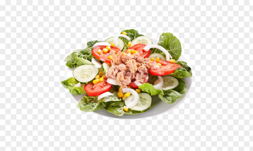 Salade Verte Tuna Salad Nicoise Dish Lettuce PNG