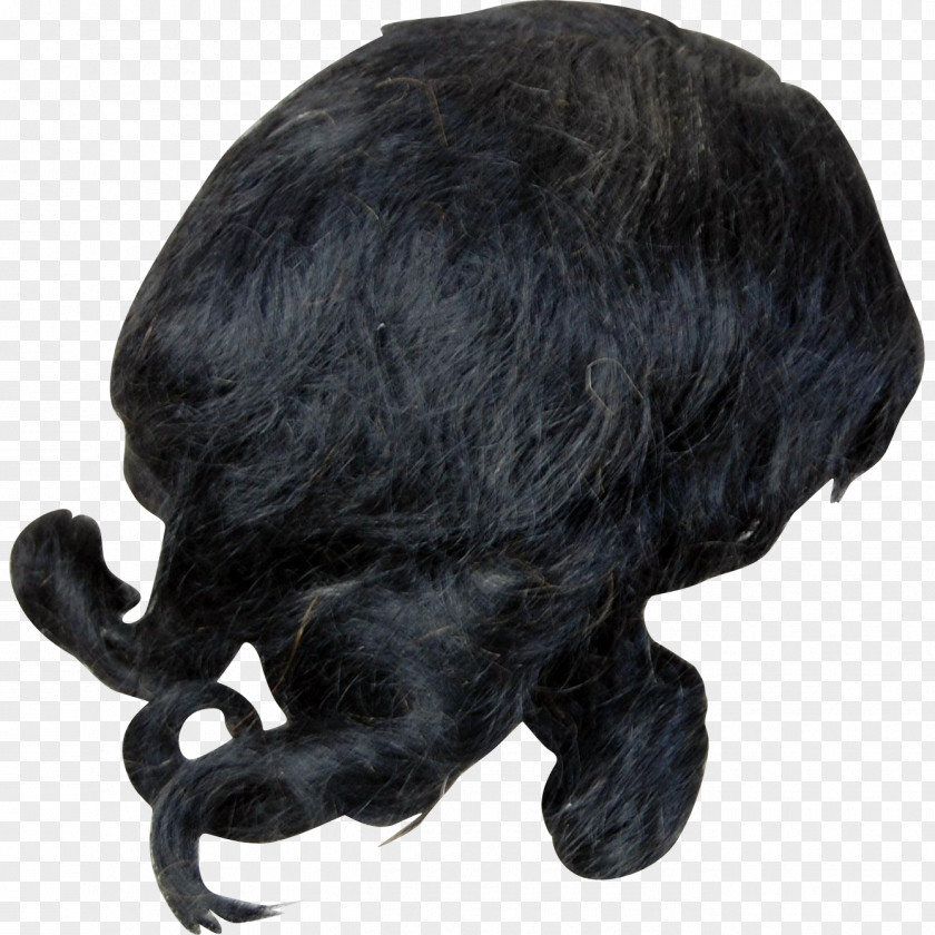 African American Women Snout Fur PNG