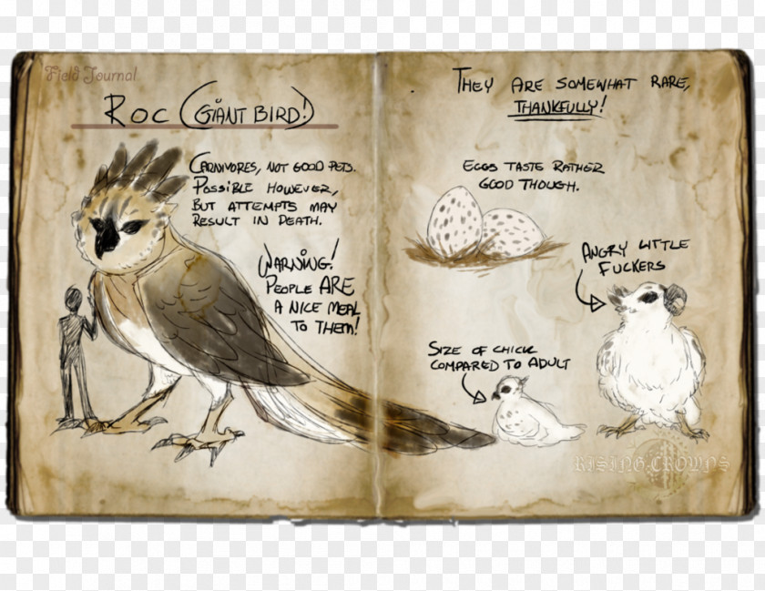 Flora Fauna And Merryweather Beak PNG