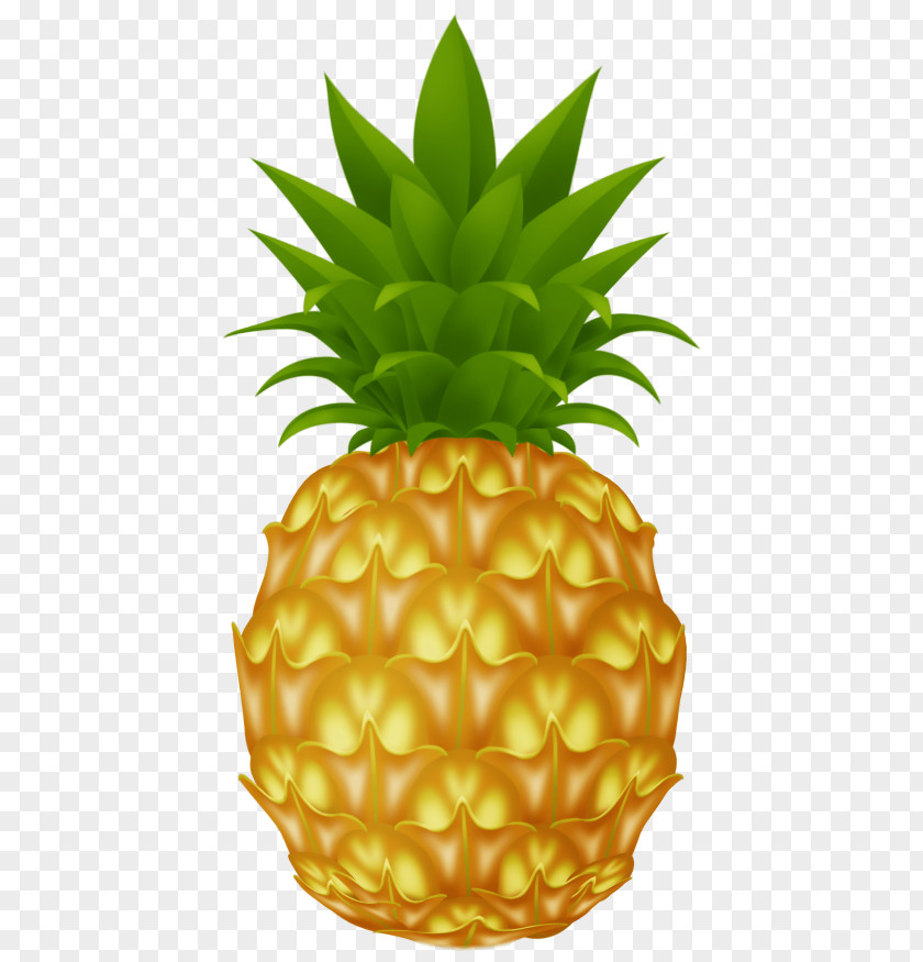 Pineapple Clip Art Image Vector Graphics PNG
