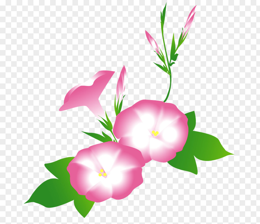 Prints Petal Floral Design Rosaceae Plant Stem PNG