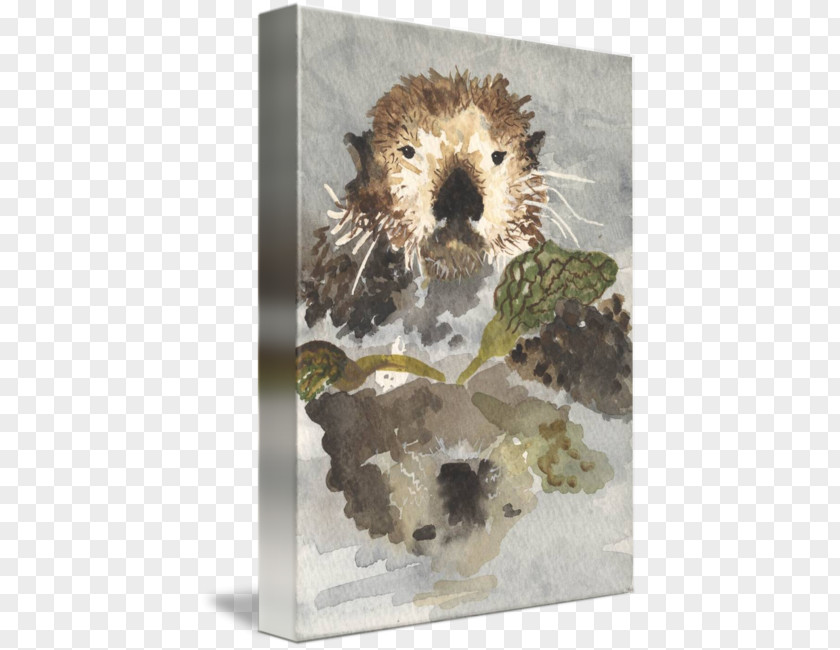 Sea Otter Hedgehog Beaver Gallery Wrap PNG