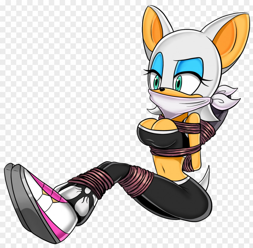 Stripped Rouge The Bat Amy Rose Sonic Riders Princess Sally Acorn Hedgehog PNG