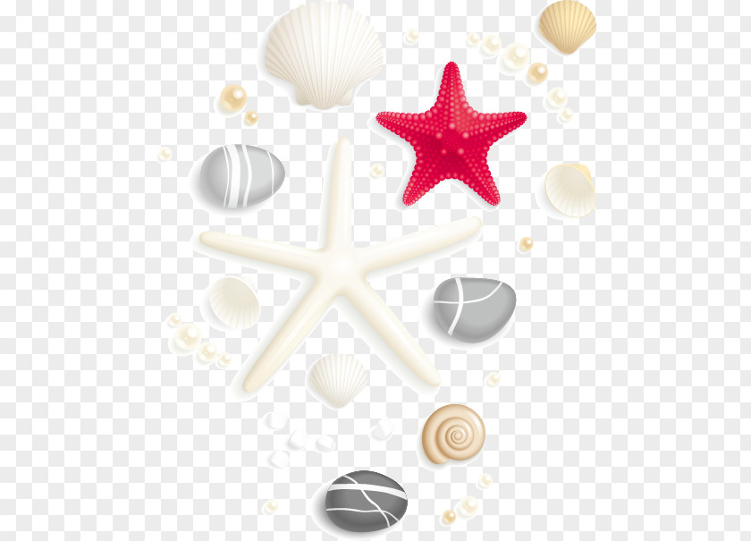 Vector Cartoon Starfish Seashell PNG
