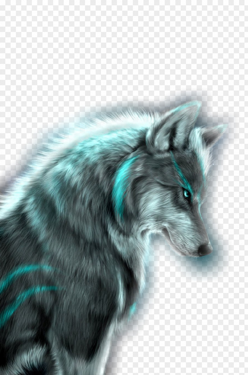 Wolf Zedge Desktop Wallpaper Ringtone Art PNG