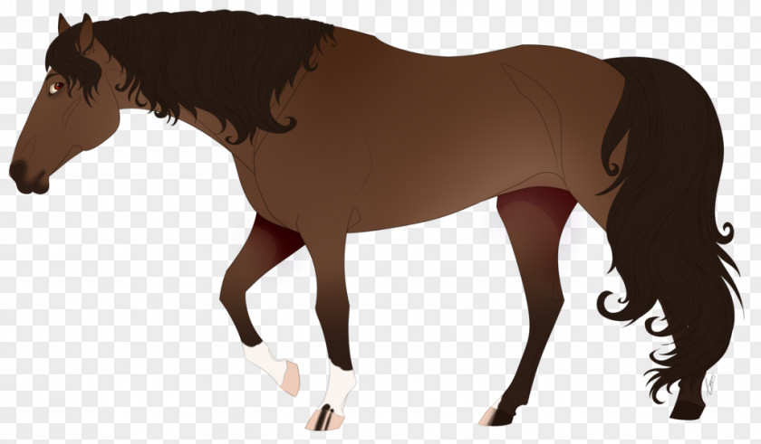 Demon Darkness Horse Mustang Pony Rein Stallion Mare PNG