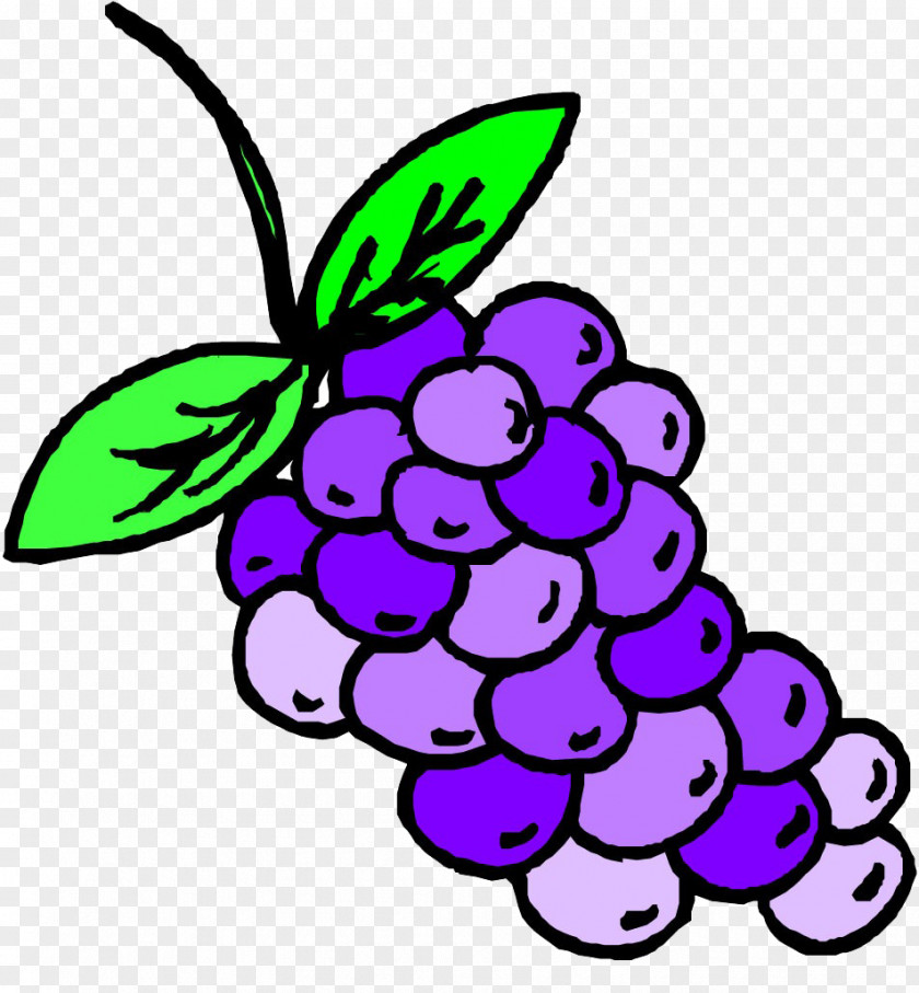 Hand-painted Grapes Grape Auglis Clip Art PNG