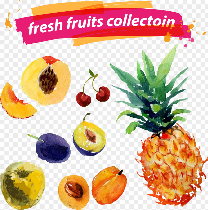 Vector Pineapple Watercolor Painting Fruit Euclidean PNG