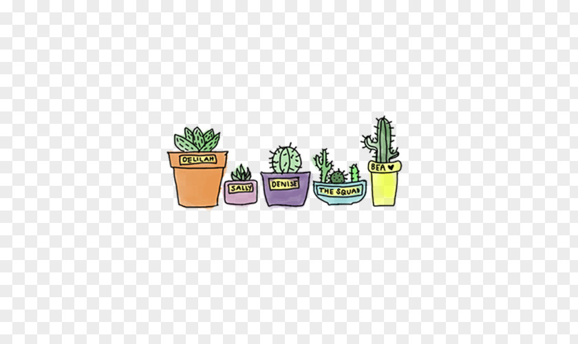 Watercolor Cactus Cactaceae Drawing Succulent Plant Sticker PNG