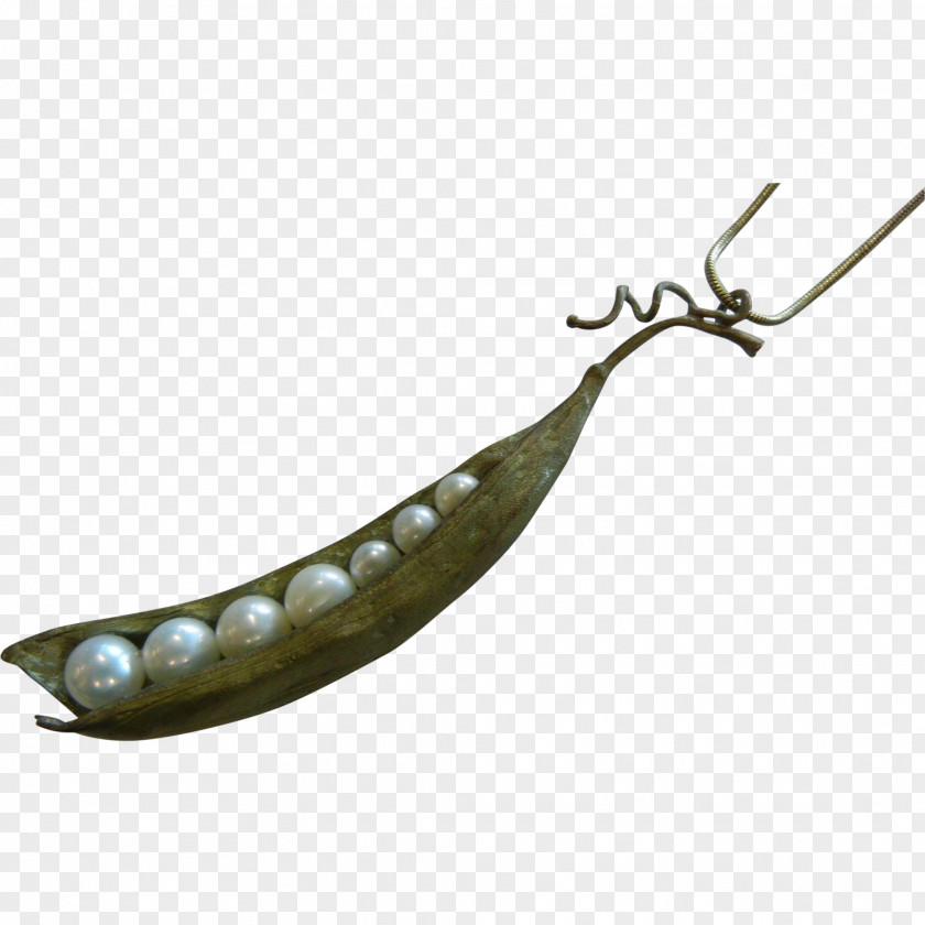 Fishing Spoon Lure Ledgers PNG