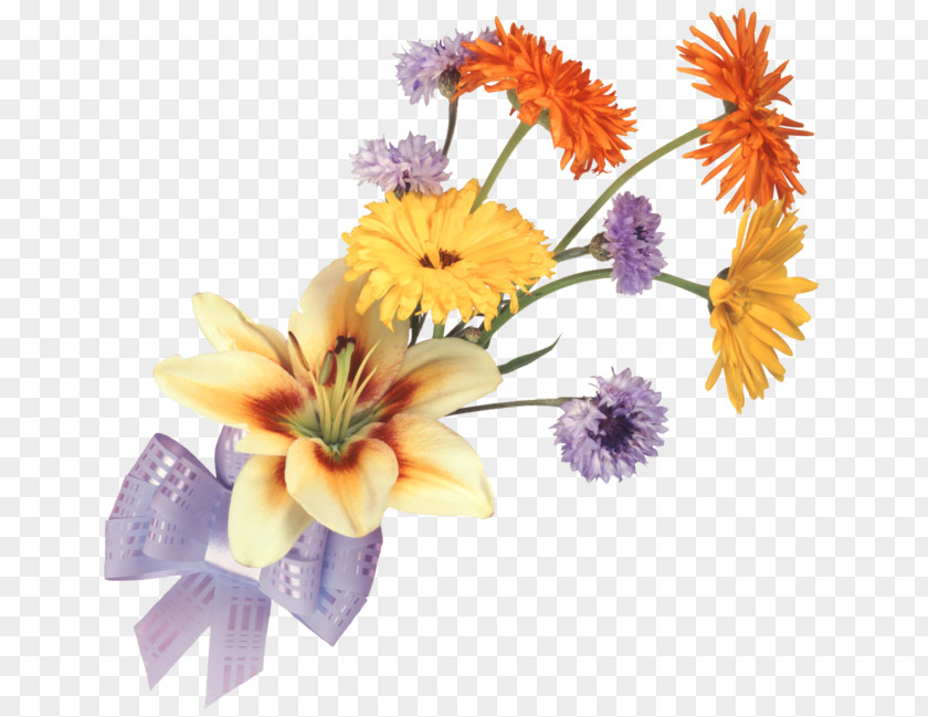 Flower Lilium Information Clip Art PNG