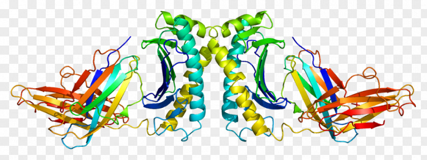 HFE Gene Wiki Hemochromatosis Protein PNG