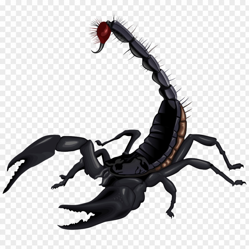 Mortal Kombat Scorpion Drawing Clip Art PNG