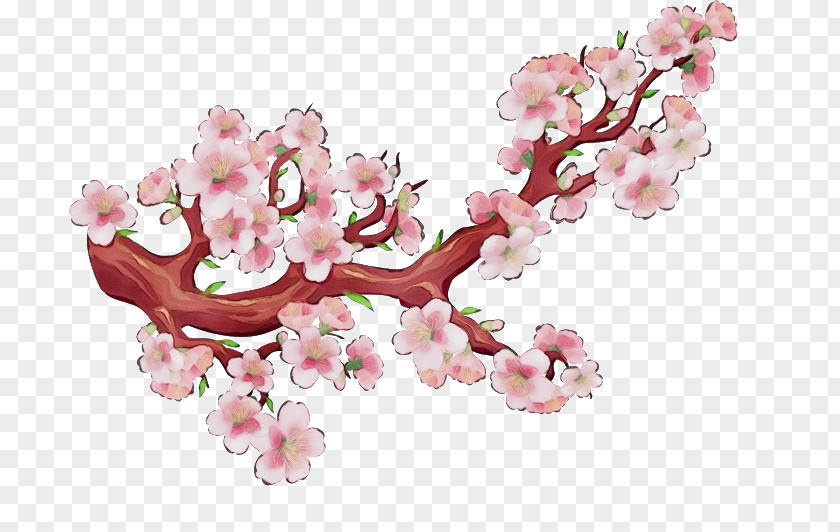 Petal Tree Cherry Blossom PNG