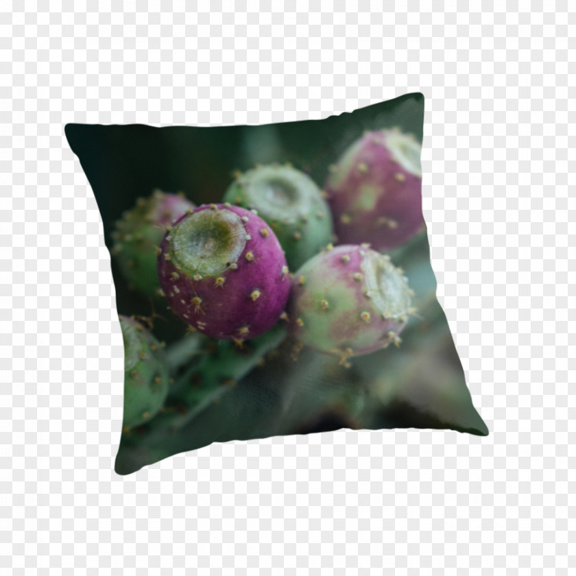 Pillow Throw Pillows Cushion Cannabis Bed PNG