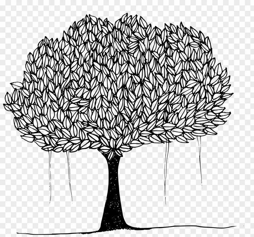 Tree Ficus Religiosa Banyan Clip Art PNG