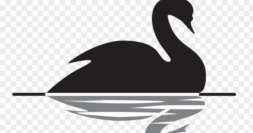 Cartoon Swans The Black Swan: Impact Of Highly Improbable Swan Theory Antifragile Writer Book PNG