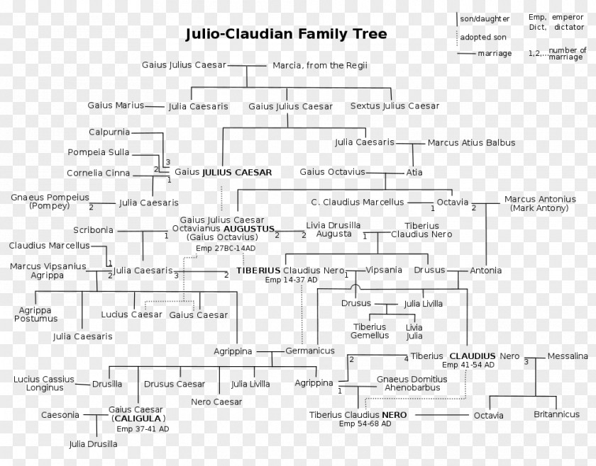 Dead Tree Material Roman Empire Julio-Claudian Dynasty Emperor Family PNG