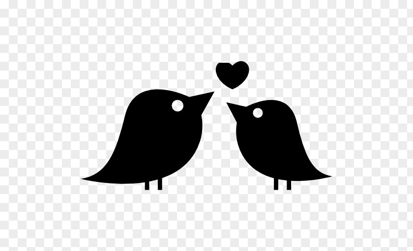 Love Birds Lovebird Heart PNG