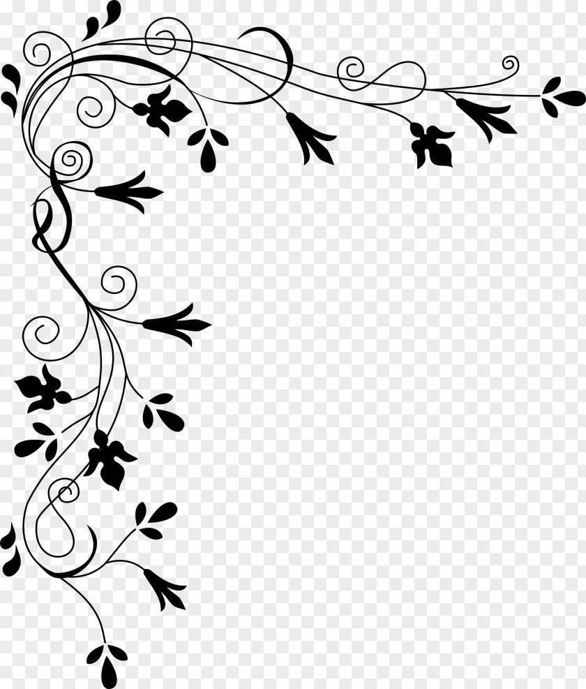 Page Border White Flower Clip Art PNG