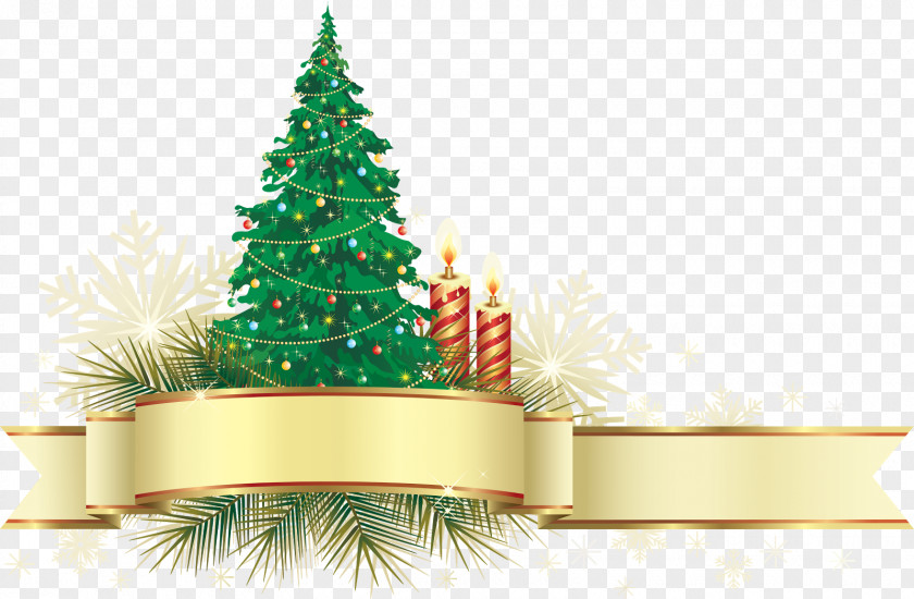 Christmas Tree Card Ornament Decoration PNG
