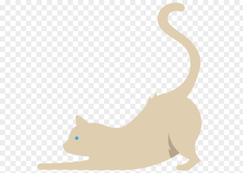 Kitten Whiskers Cat Canidae Dog PNG