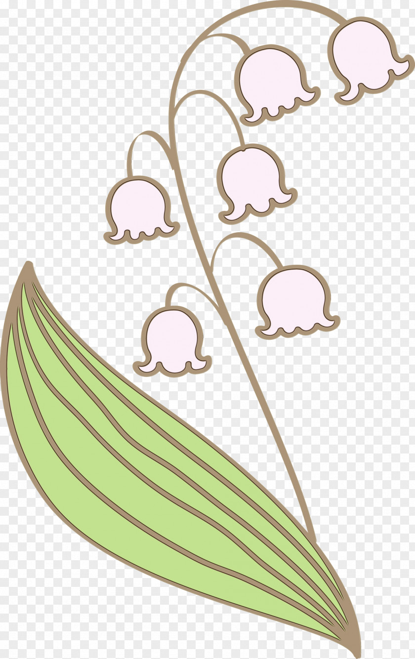 Leaf Plant PNG