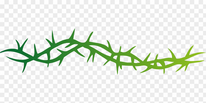 Silkworm Thorn Qiuhong Duan Clip Art Thorns, Spines, And Prickles Vector Graphics Free Content PNG