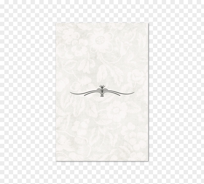Beauty Card Paper PNG