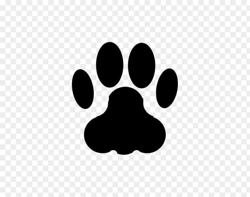 Cat Footprint Dog Paw Animal Track PNG