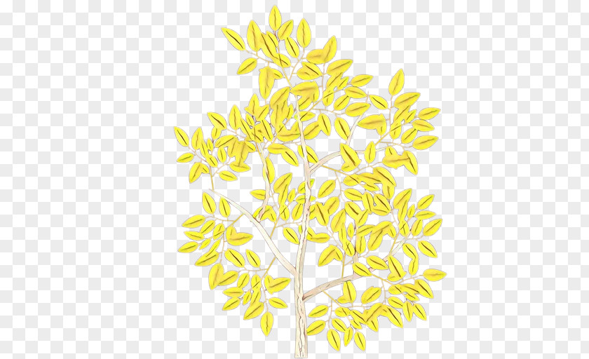 Flower Twig Paper PNG